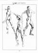 (eBook - English) Andrew Loomis - Figure Drawing - For All It's Worth_Page_097_Image_0001.jpg