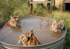 Bath.jpg