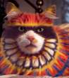 Why Paint Cats.jpg