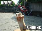 here-i-is-hiding-1.jpg