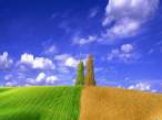 Green and yellow.jpg