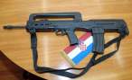 puska19112007_v.jpg