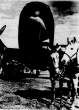 Ju 90 Z-3, KB+LA, WNr. 0002 i konji 1s.jpg
