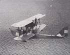 Ikarus IO 101 in flight s.jpg