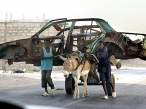Heavy duty.jpg