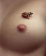 Frog [18+].jpg
