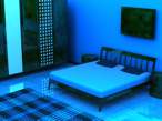 blue room.jpg