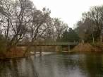 ..bridge...JPG