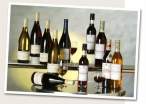 intro_vins.jpg