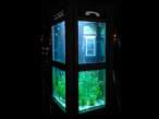 Aquarium.jpg