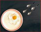 Egg.jpg