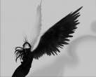 Wings.jpg