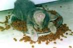 image007zu4.jpg