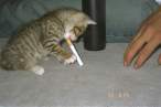 Smoke.jpg