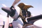 mohawk-014b.jpg