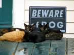 Beware.jpg