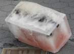 Ice cube.jpg