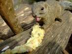 hungry.jpg