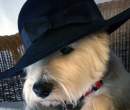 Hat.jpg