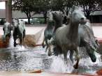 Horses.jpg