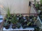 07042008020.jpg
