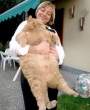 Fat.jpg