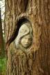 Tree.jpg