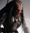 AVP-BH-03.jpg