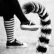 Tail.jpg