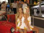 carshowupskirts-7.jpg