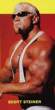 Scott-Steiner.jpg