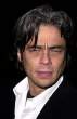 benicio-del-to ro.jpg