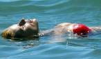 michelle_hunziker_bikini_candids-4.jpg