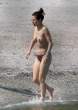 China Chow 21.jpg