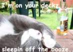 booze.jpg