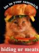sammich.jpg
