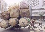 chinese-garbage-man.jpg