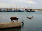 saved-by-water.jpg
