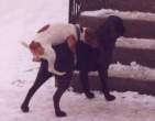 3697_1849_dog-mating-mismatch.jpg