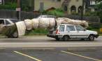 6047_3024_why-pay-for-delivery.jpg