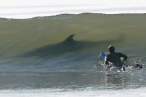 5725_2863_surfing-shark-scare.jpg