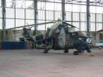 mi 24 7.jpg