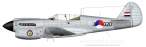 Curtiss-P-40N-Dutch-320.jpg