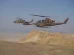 Masada_cobra.jpg