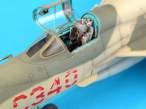 mig21angolacw_2.jpg