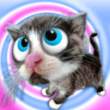 cat.gif