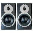 Dynaudio bm5a.jpg