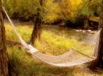 Peaceful Hammock Near a Stream, Colorado.jpg