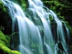 Sodden Moss, Proxy Falls - 1600x1200 - ID 142.jpg