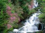 Tochigi Prefecture, Nikko, Japan - 1600x1200 - I.jpg